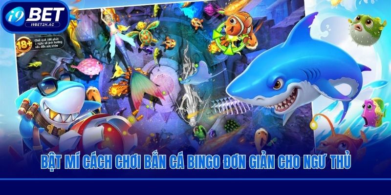 Bật mí cách chơi bắn cá bingo đơn giản cho ngư thủ
