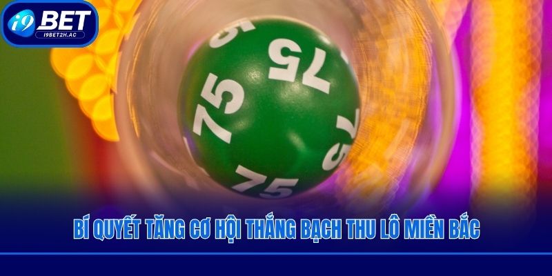 Bí quyết tăng cơ hội thắng bạch thu lô miền bắc