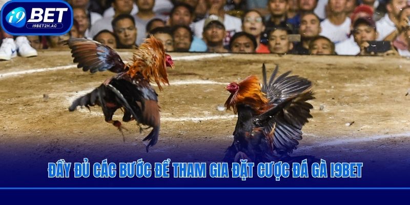 Đầy đủ các bước để tham gia đặt cược đá gà i9bet