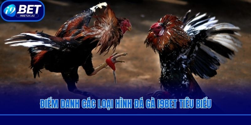 Điểm danh các loại hình đá gà i9bet tiêu biểu