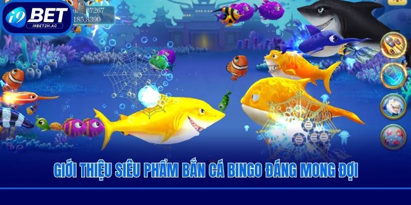 Giới thiệu siêu phẩm bắn cá bingo đáng mong đợi