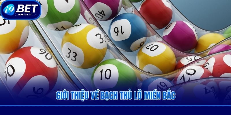 Giới thiệu về bạch thủ lô miền Bắc